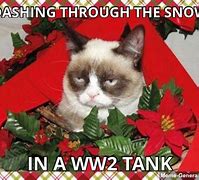 Image result for Grumpy Cat Meme Generator