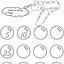 Image result for Counting By Fives Worksheet