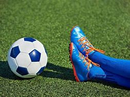 Image result for Soccer Ball Professional Fun