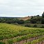 Image result for Joseph Swan Syrah Trenton Estate