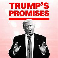 Image result for Campaign Promises