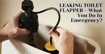 Image result for Leaking Toilet Flapper