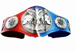 Image result for WWE Tag Team Champion Belt