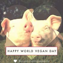 Image result for Vegan Happy Animals