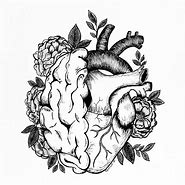 Image result for Heart and Brain Sketch