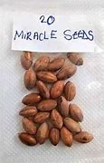 Image result for Miracle Seed