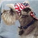 Image result for American Doo Rag