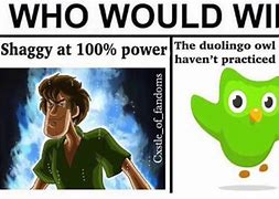 Image result for Duolingo Anime Memes