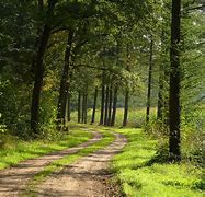 Image result for Netherlands Country Road Background