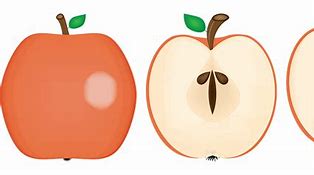 Image result for Apple Tree From Seed