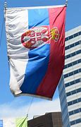 Image result for Serbia Flag with Red X
