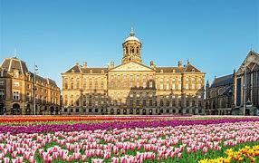 Image result for Amsterdam Netherlands Attractions