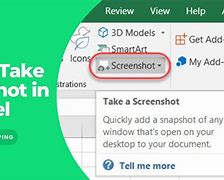 Image result for Excel Screen Shot Prompt