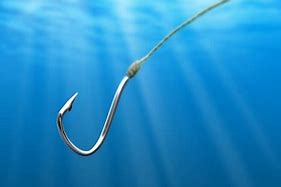 Image result for Real Fishing Hook and Line