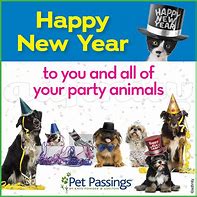 Image result for Funny New Year's Animal Memes