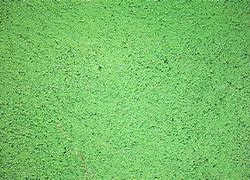 Image result for Grainy Green Background