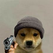 Image result for Dog Meme PFP Sikh