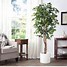 Image result for Living Room Plants Artificial