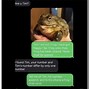 Image result for Depressed Frog Meme