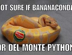 Image result for Snake Soup Meme