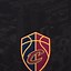 Image result for Cleveland Cavaliers Desktop