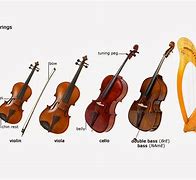 Image result for Violin/Viola Cello Double Bass