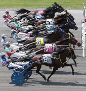 Image result for Standardbred Racing Canada