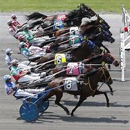 Image result for Harness Horse Racing