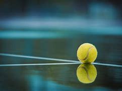 Image result for Best Tennis Balls