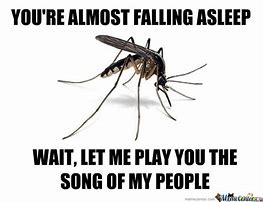 Image result for Mosquito Meme