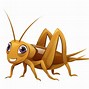 Image result for Cricket Insect Minimal