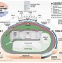 Image result for LVMS Seating-Chart