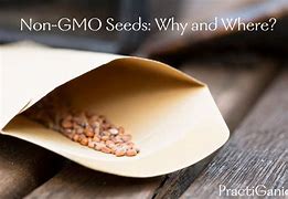 Image result for Non-GMO Seeds