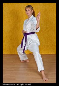 Image result for Martial Arts Woman