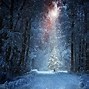 Image result for 8K Winter Night Wallapper