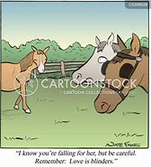 Image result for Funny Horse Blinders