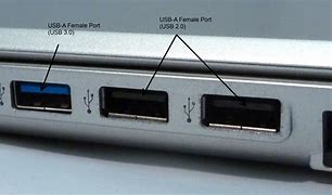 Image result for USB Type a Male Connector