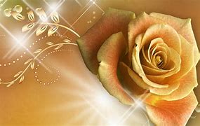 Image result for Beautiful Rose Gold Flowers