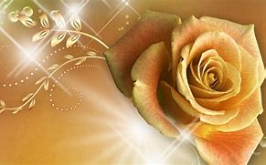 Image result for Rose Gold Pictures