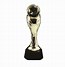 Image result for Beautiful Trophies