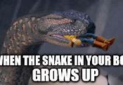 Image result for Snake in My Boot Meme