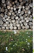 Image result for Pile of Wood On Green Screen