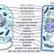 Image result for DNA Genes Chromosomes and Nucleus