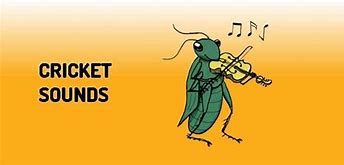 Image result for Cricket Animal Sound