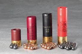 Image result for 00 Buckshot Size