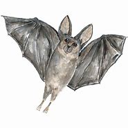 Image result for Painting with a Twist Bat