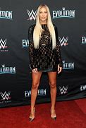 Image result for Kelly Kelly WWE Attire