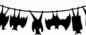 Image result for Transparent Hanging Bat