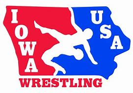 Image result for USA Wrestling Logo Cool
