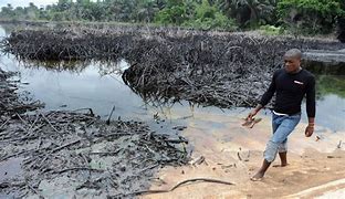 Image result for Shell Oil Spill Nigeria